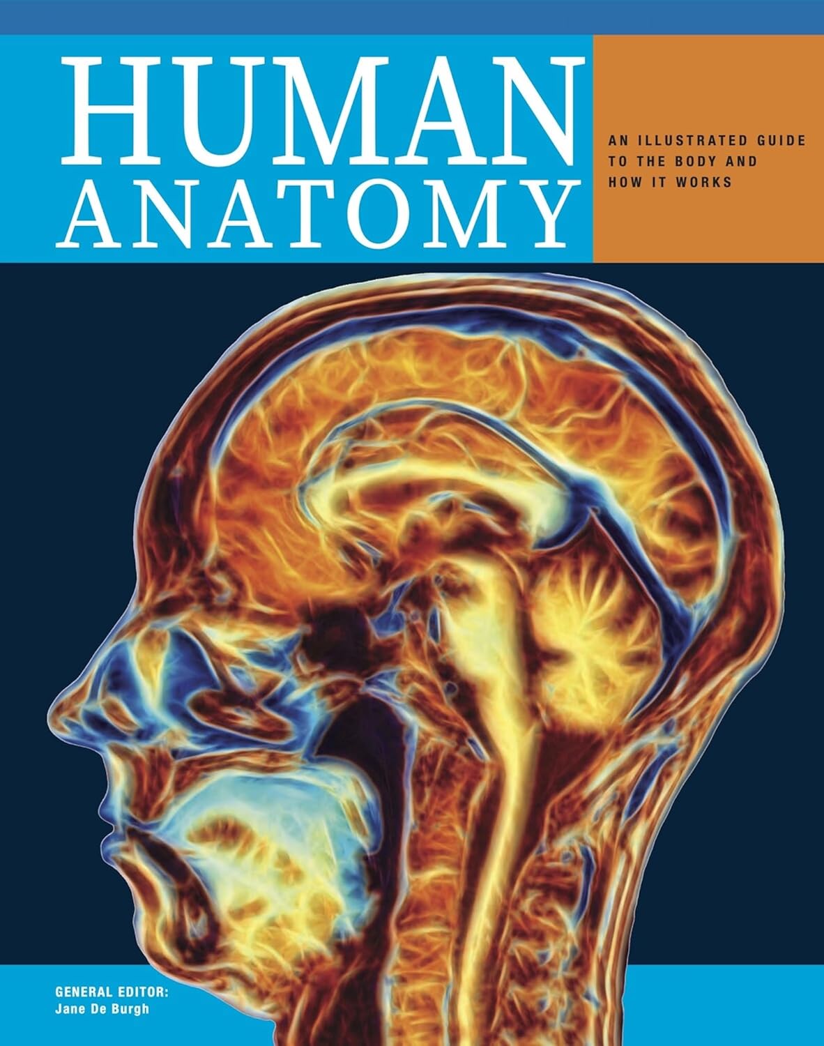 Human Anatomy: An Illustrated Guide to the Structure and Function of the Body
