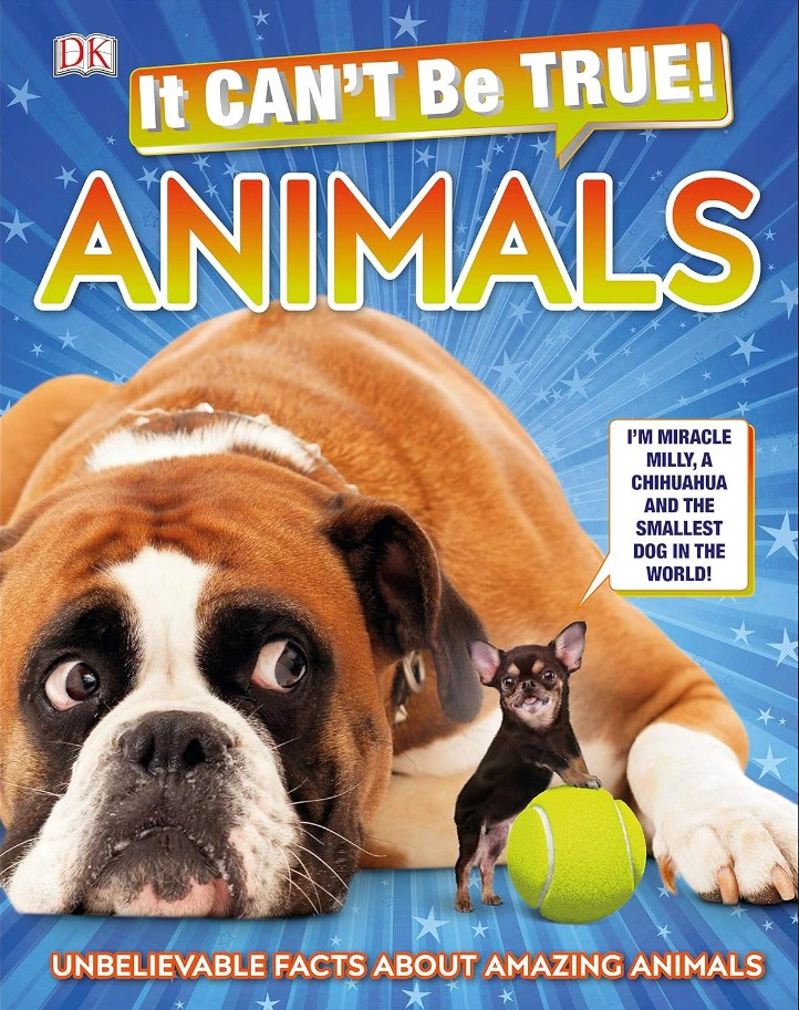 It Can't Be True! Animals!