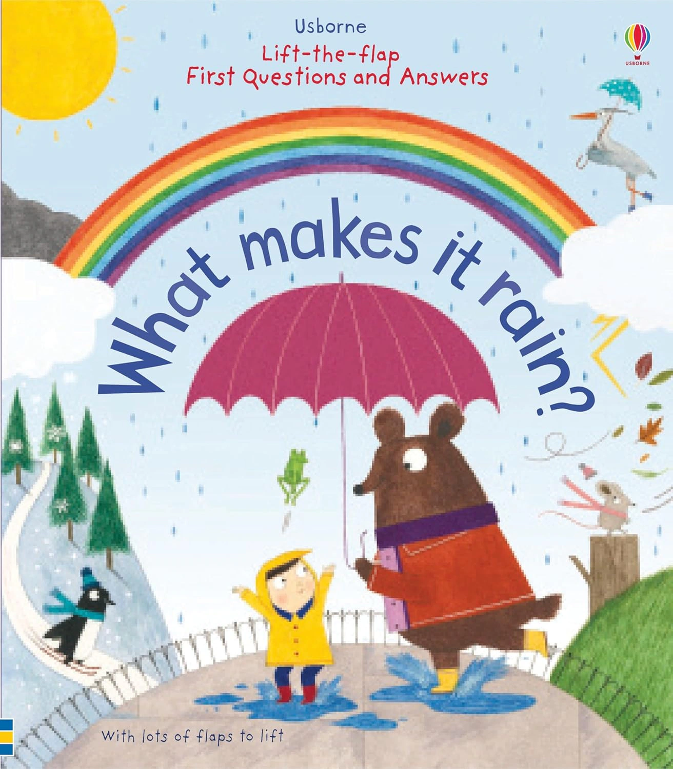 Lift-the-Flap. First Questions & Answers. What Makes it Rain?