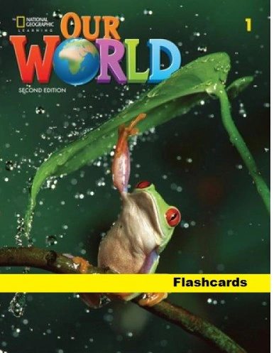 Our World 1. Flashcards