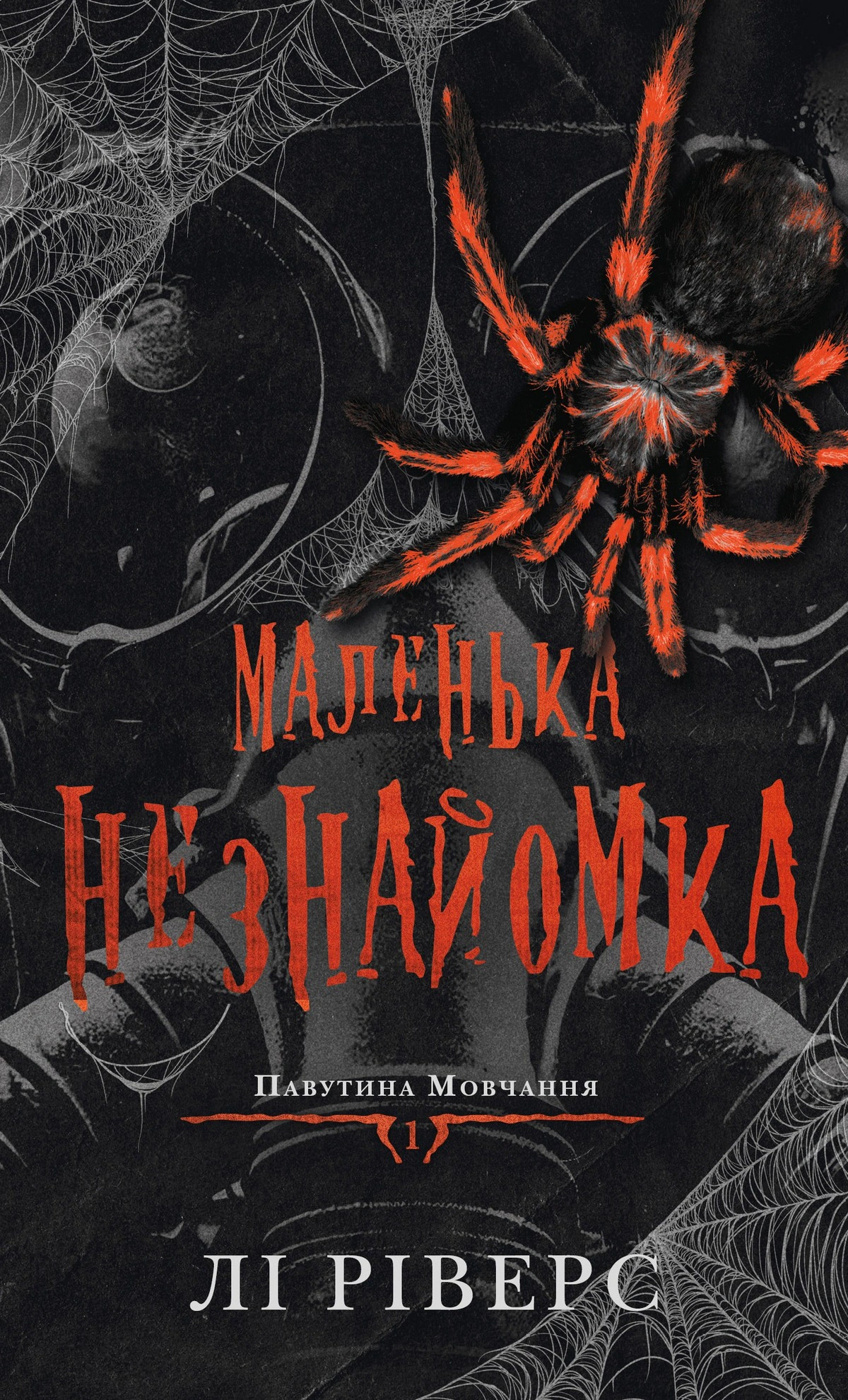 Маленька незнайомка. Павутина мовчання. Книга 1
