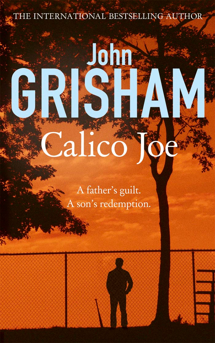 Calico Joe