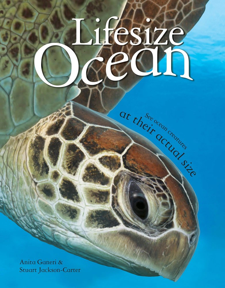 Lifesize Ocean