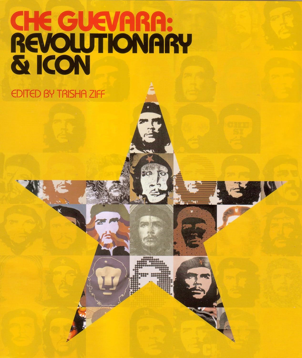 Che Guevara: Revolutionary and Icon