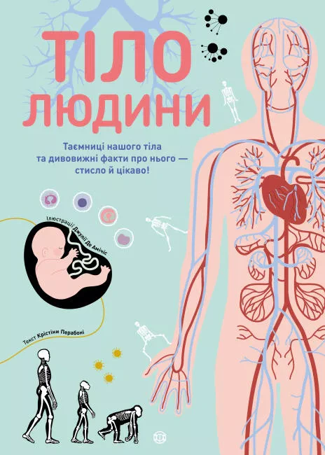 Тіло людини