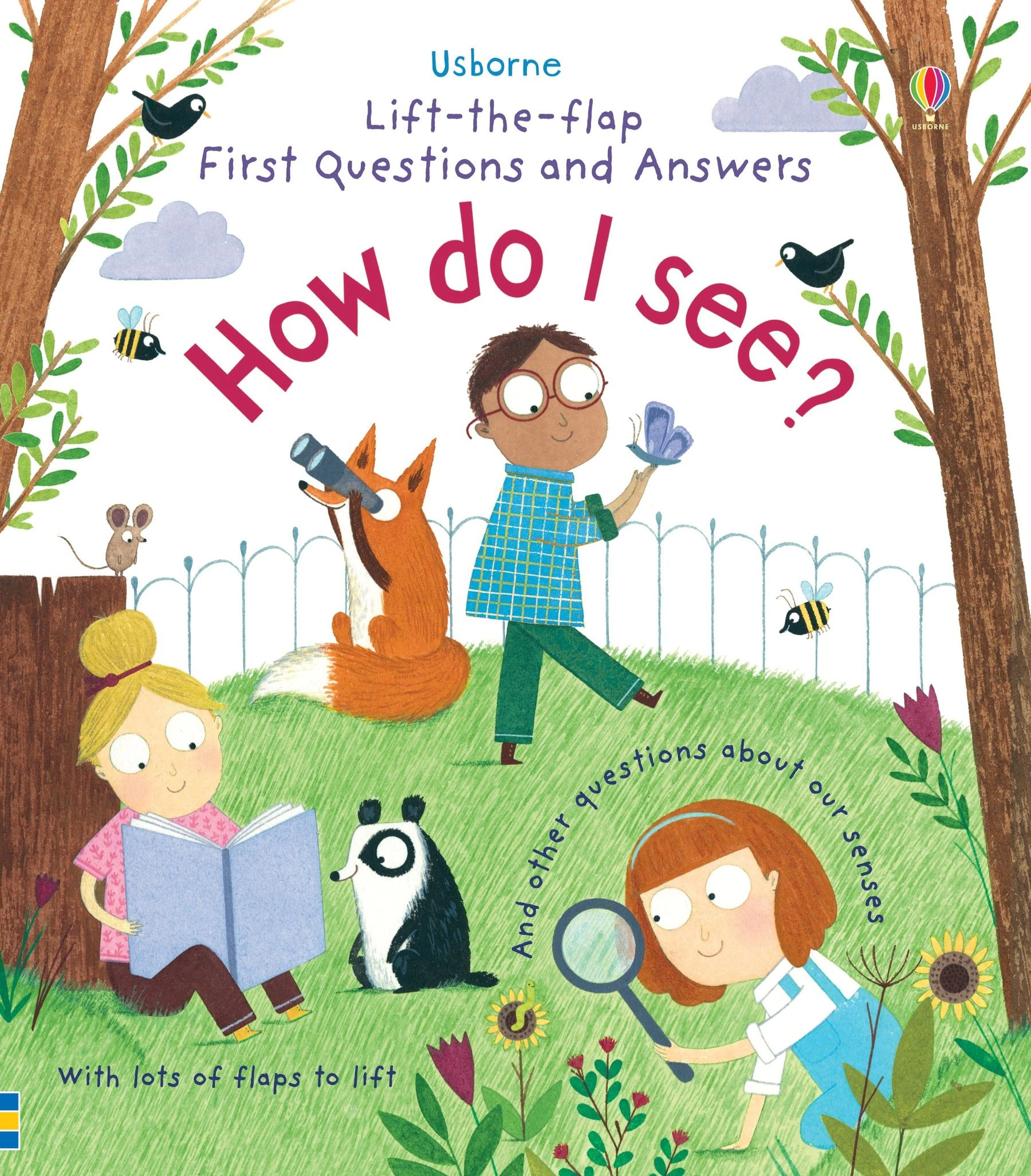 Lift-the-Flap First Questions & Answers: How do I see?