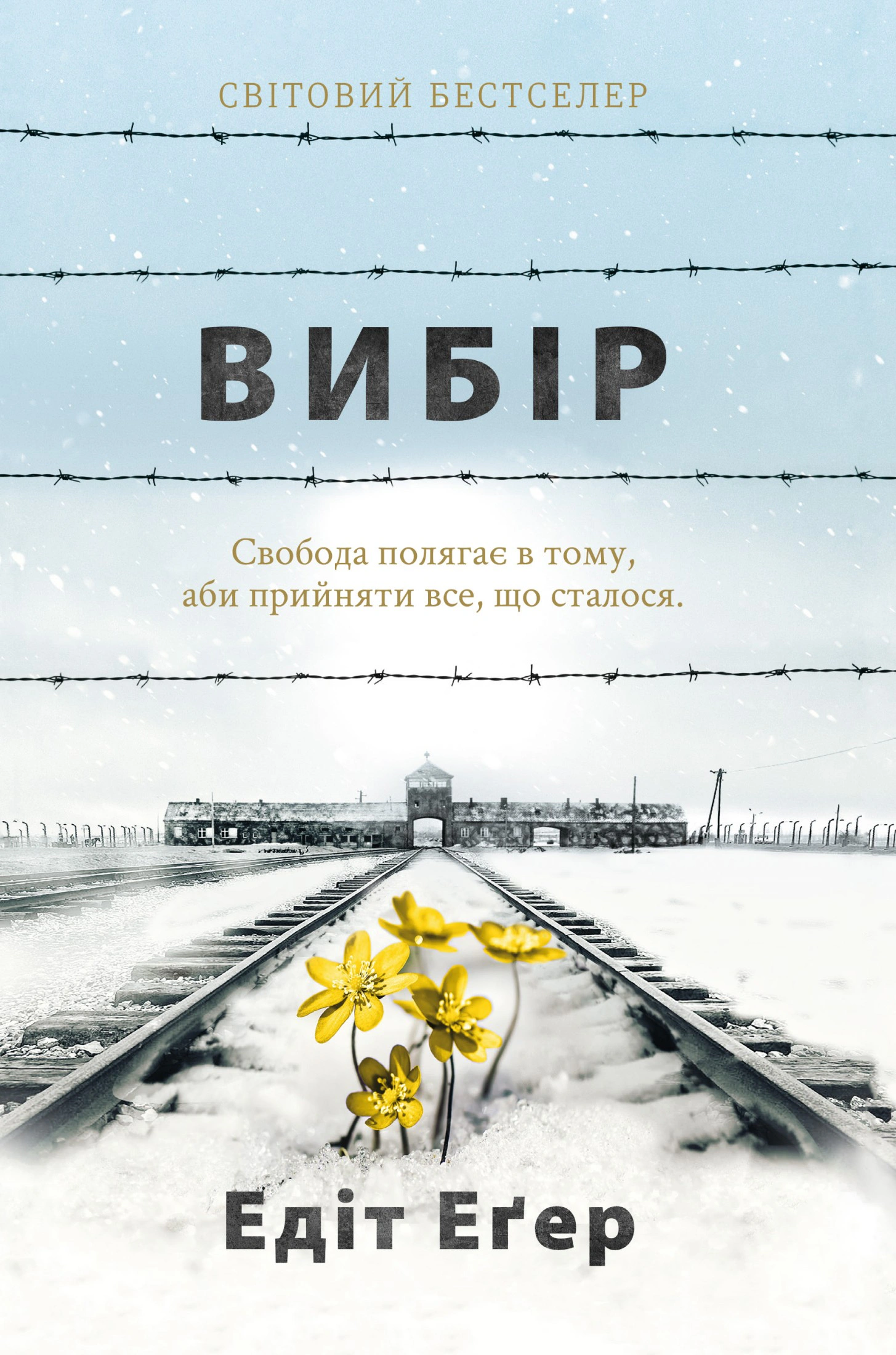 Вибір. Прийняти можливе