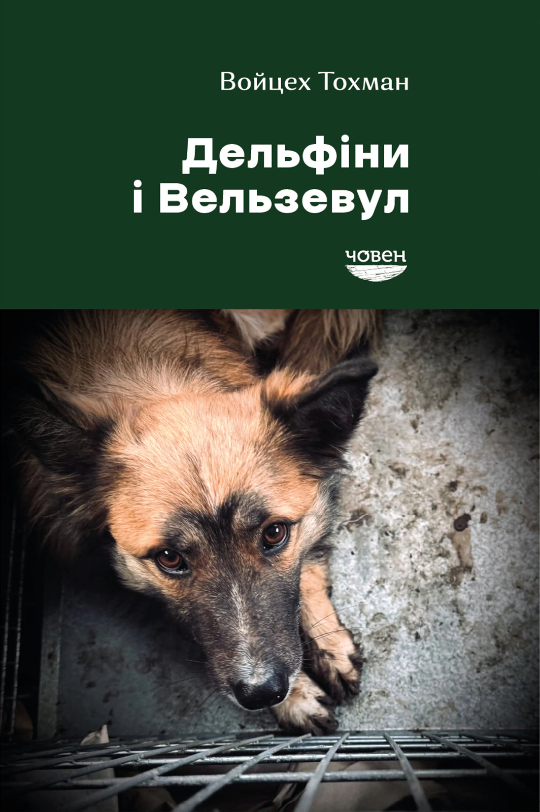 Дельфіни і Вельзевул