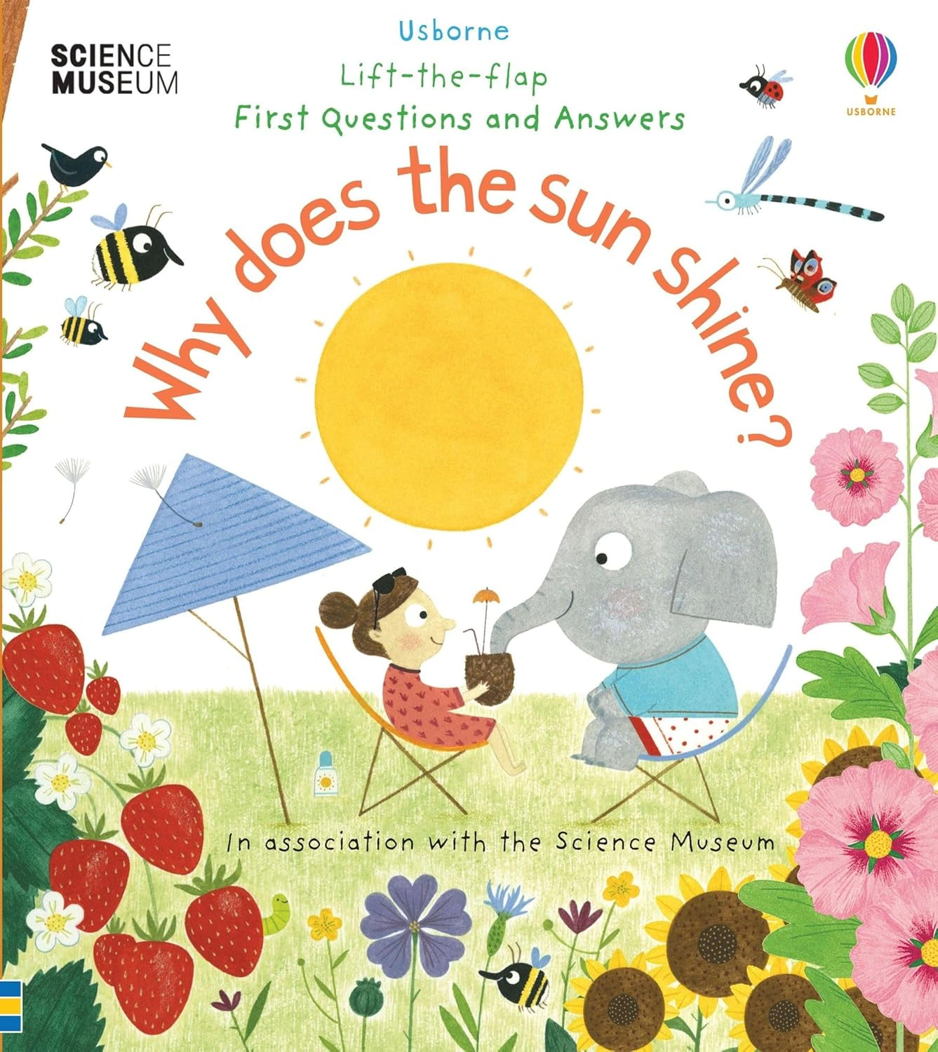 Why Does the Sun Shine? Lift-the-Flap First Questions & Answers