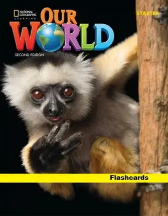 Our World. Starter Flashcards