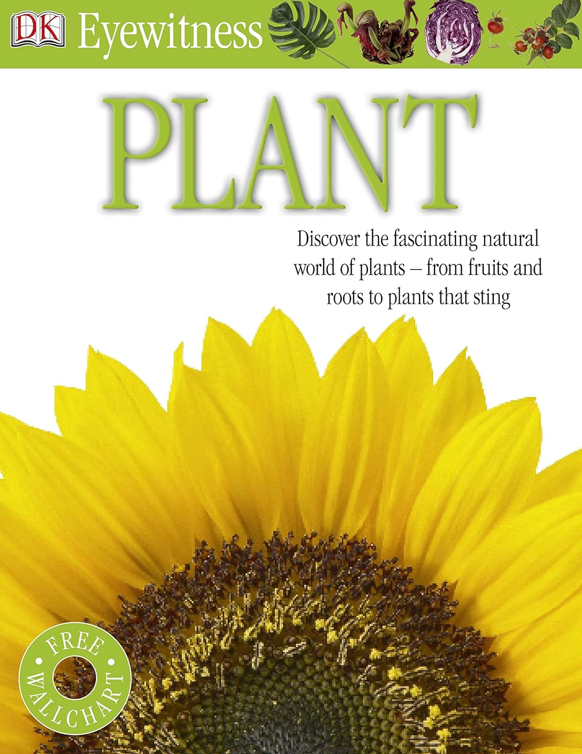 Eyewitness: Plant