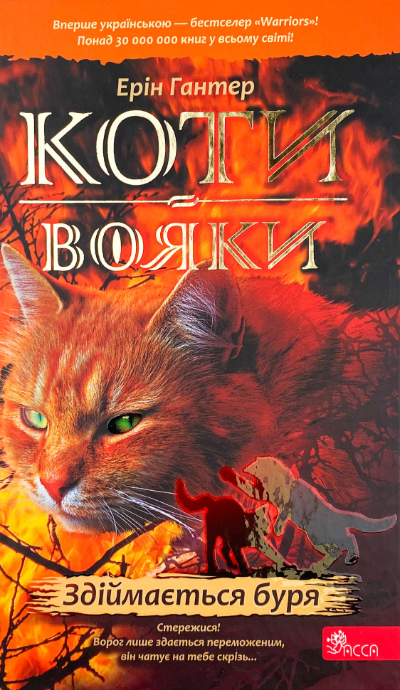 Коти-вояки. Здіймається буря