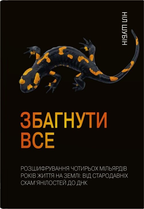Збагнути все